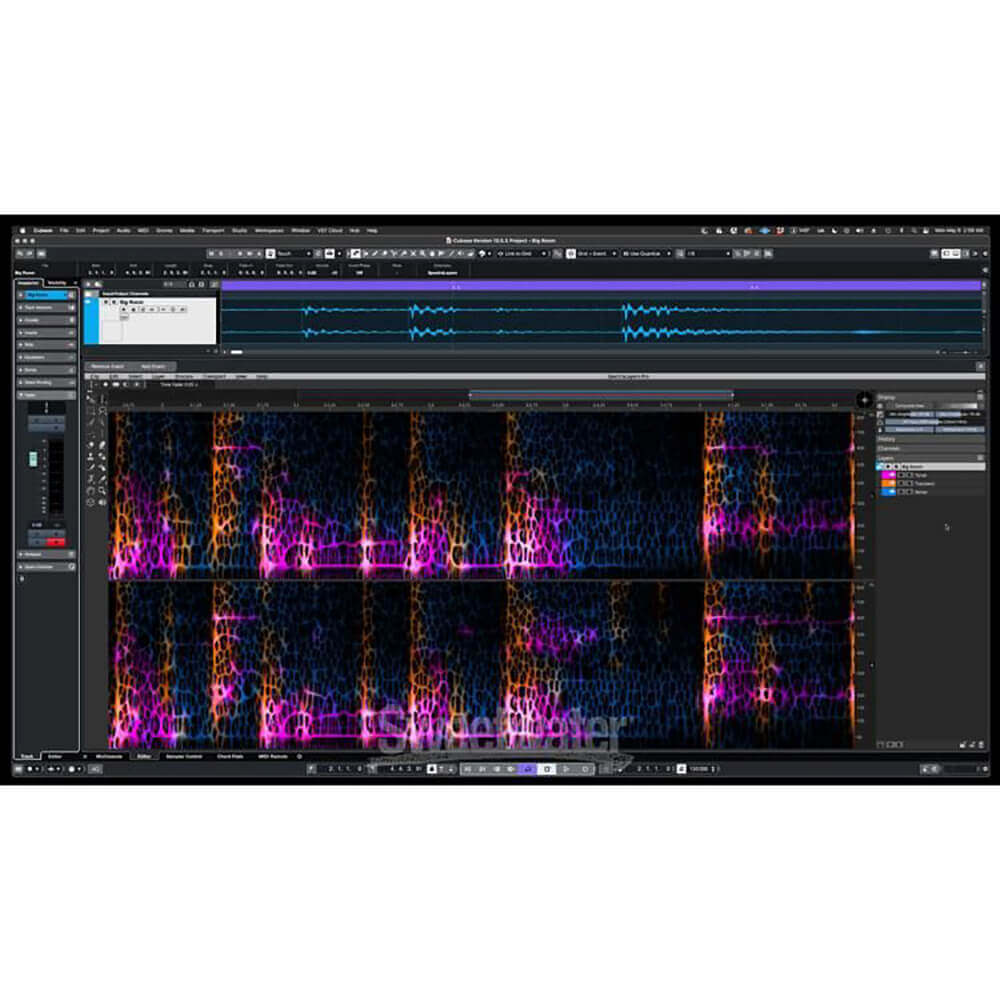 Steinberg SpectraLayers Elements 9 (Download)