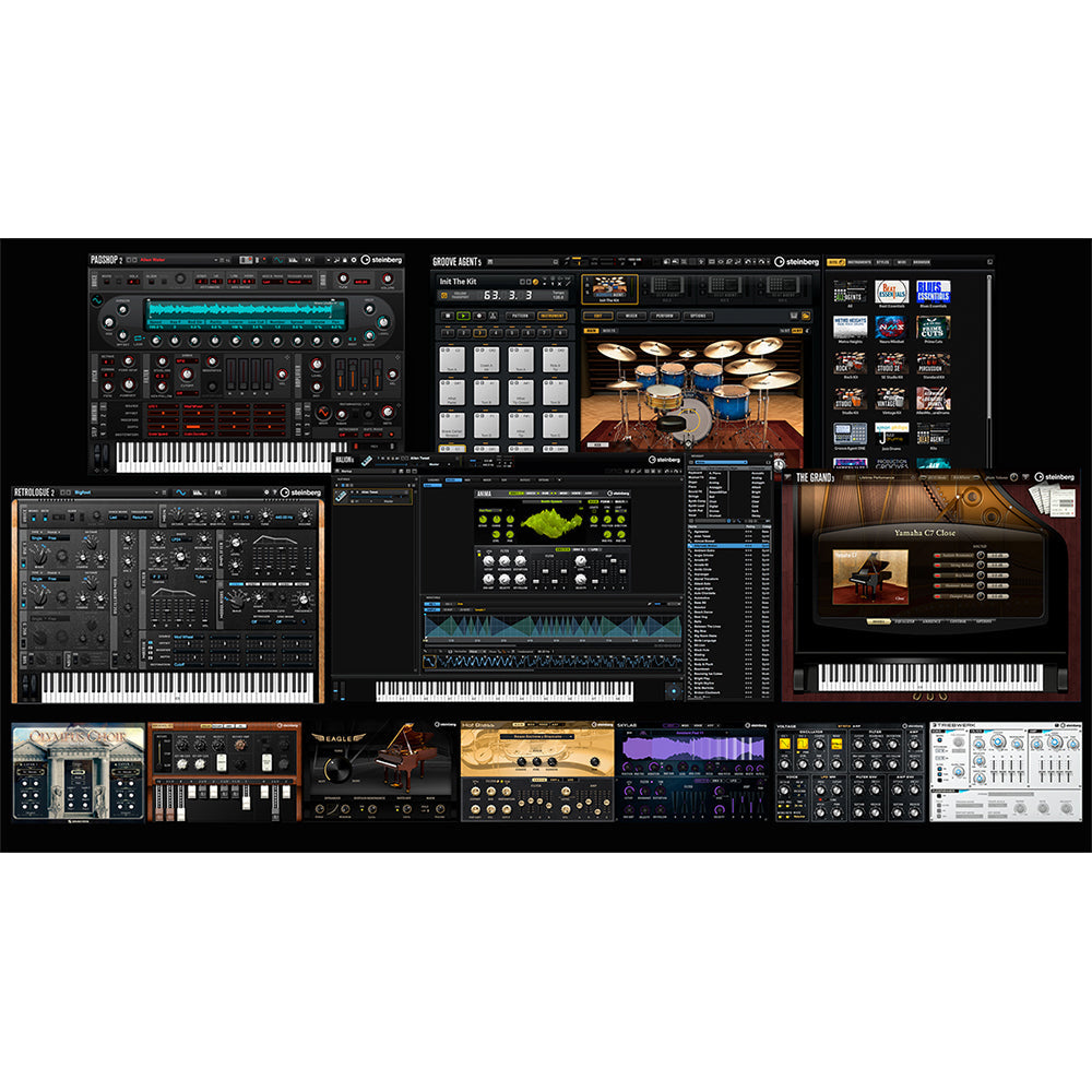 Steinberg Absolute 6 Collection (Download)