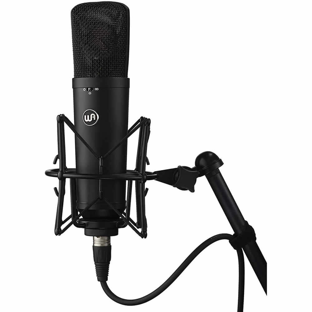 Warm Audio WA-87 R2 Large-Diaphragm FET Condenser Microphone Black with Pop Filter, 15-Ft XLR Cable, and Polishing Cloth
