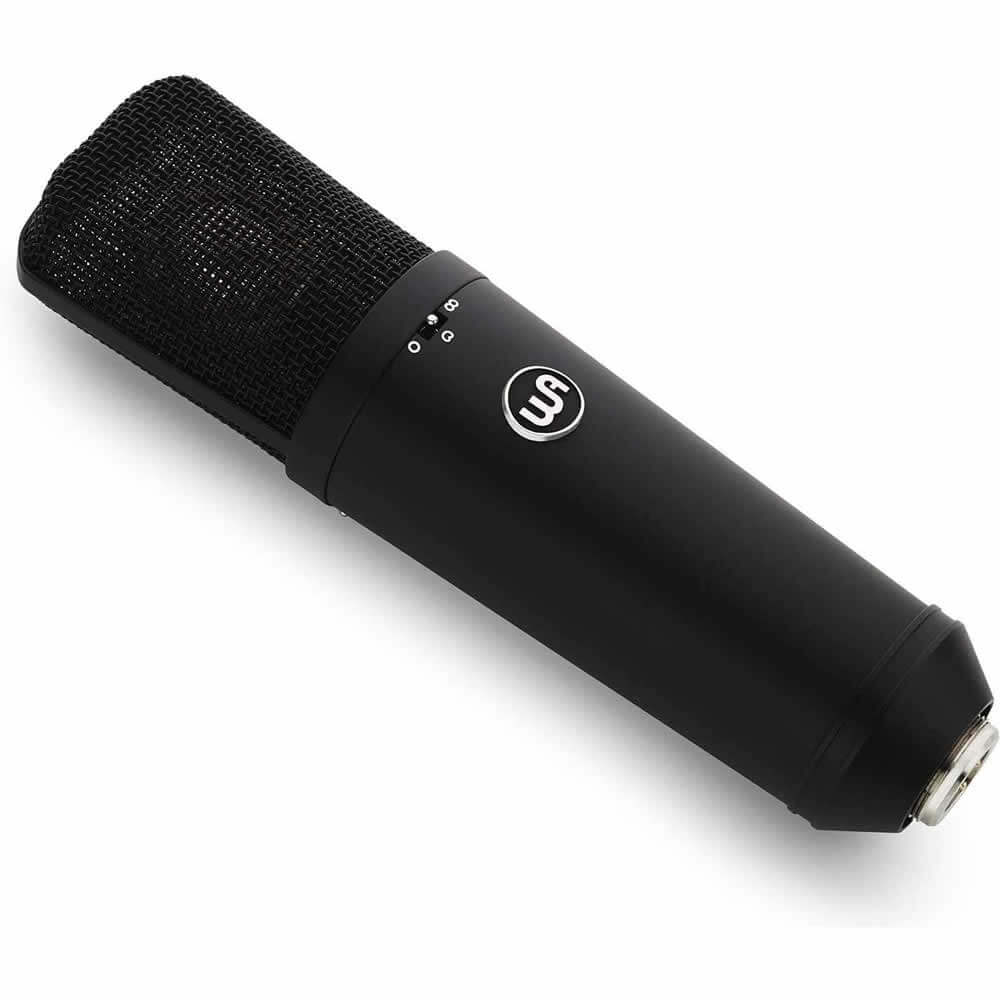 Warm Audio WA-87 R2 Large-Diaphragm FET Condenser Microphone Black with Pop Filter, 15-Ft XLR Cable, and Polishing Cloth