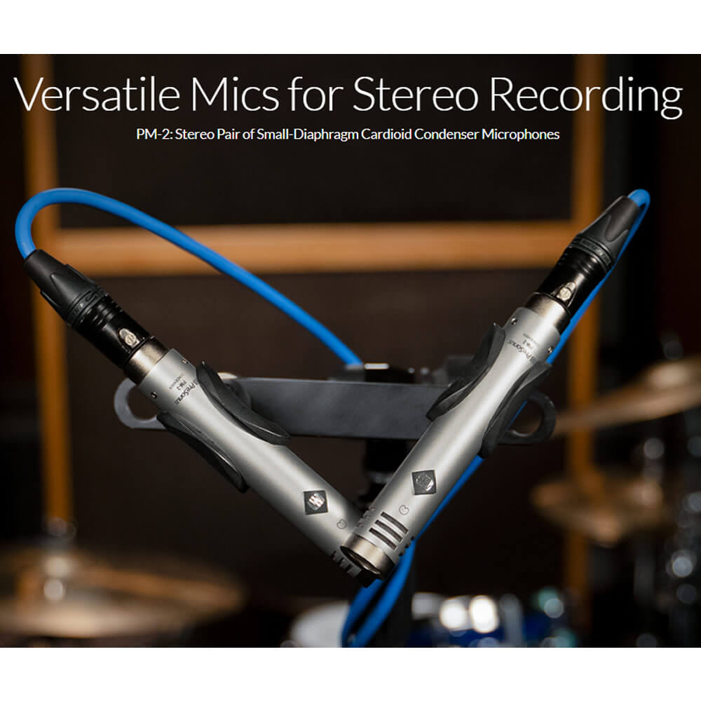 PreSonus PM-2 Small-Diaphragm Cardioid Condenser Microphone (Matched Pair)