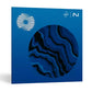 iZotope Ozone 12 Standard (Download)
