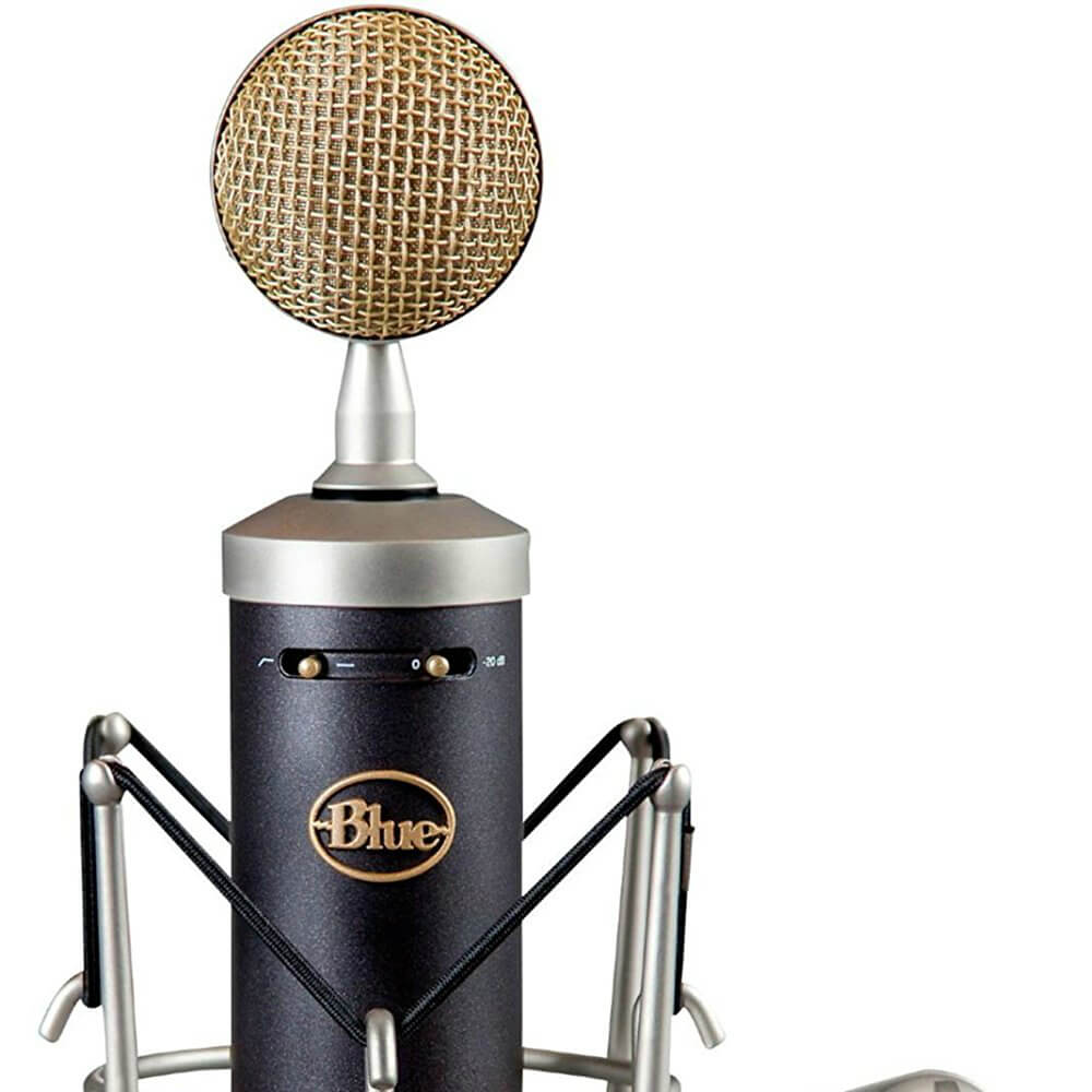 Blue Microphones Baby Bottle SL Microphone