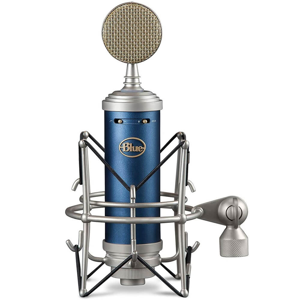 Blue Microphones Bluebird SL Large-Diaphragm Condenser Studio Microphone with Mic Stand, Pop Filter, and XLR Cable