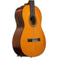 Yamaha CGX102 Acoustic-Electric Classical Guitar