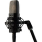 Warm Audio WA-14 Condenser Microphone Bundle with Pop Filter and 15ft XLR Cable