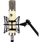 Warm Audio WA-251 Large-Diaphragm Tube Condenser Microphone