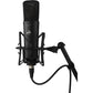 Warm Audio WA-87 R2 Large-Diaphragm FET Condenser Microphone Black