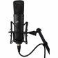 Warm Audio WA-87 R2 Large-Diaphragm FET Condenser Microphone Black with Pop Filter, 15-Ft XLR Cable, and Polishing Cloth