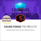 MAGIX Sound Forge Pro 17 Suite Academic (Download)