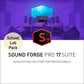 MAGIX Sound Forge Pro 17 Suite School License